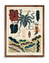 Mocha Wood Framed Great Barrier Reef Molluscs and Planarians Vintage Illustration Wall Art Print